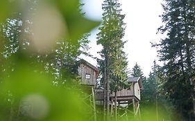 Baumhotel